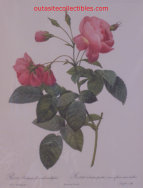 montgomery_county_farmers_markets001007.jpg